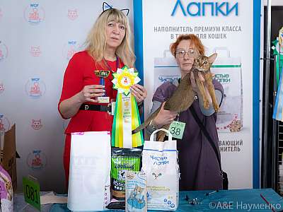 �������� 10-11.04.2021 ���������� 6-38-0236-110421.jpg