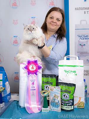 �������� ����� 10-11 ������ 2021 �. WCF-�����