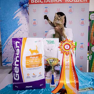 �������� ����� 18-19.09.2021 ���������� 1-87-0272.jpg