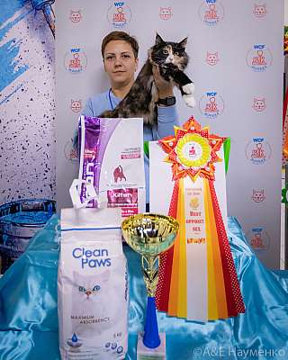 �������� ����� 18-19.09.2021 ���������� 10-37-0222.jpg