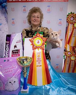 �������� ����� 18-19.09.2021 ���������� 14-81-0217.jpg