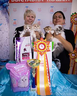 �������� ����� 18-19.09.2021 ���������� 15-35-0206.jpg