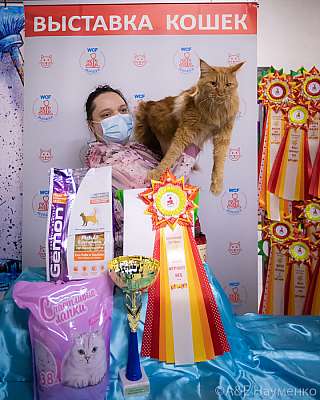 �������� ����� 18-19.09.2021 ���������� 17-3-0198.jpg