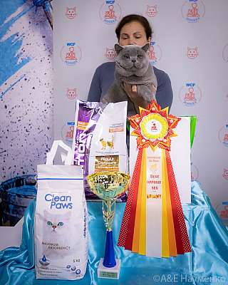 �������� ����� 18-19.09.2021 ���������� 5-64-0255.jpg