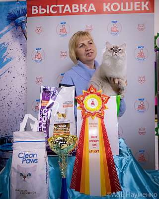 �������� ����� 18-19.09.2021 ���������� 6-41-0244.jpg