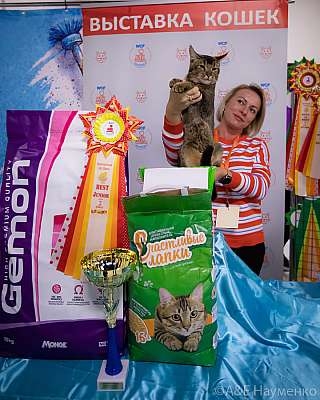 �������� ����� 18-19.09.2021 ���������� 9-86-0230.jpg