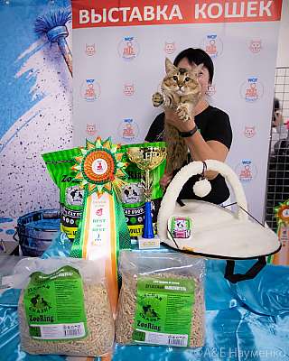 ������� 18-19.09.2021 ���������� 1-87-0522.jpg