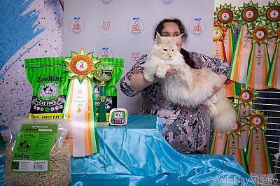 ������� 18-19.09.2021 ���������� 17-9-0451.jpg