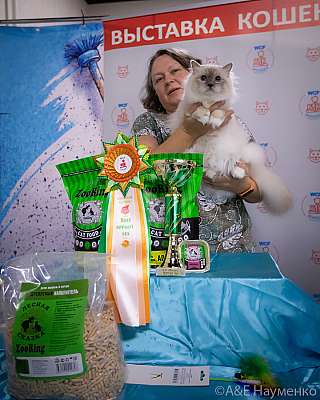 ������� 18-19.09.2021 ���������� 5-38-0505.jpg