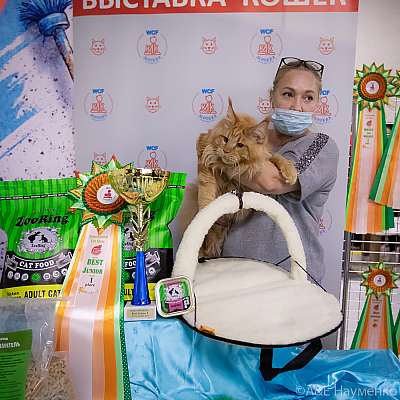 ������� 18-19.09.2021 ���������� 7-5-0501.jpg