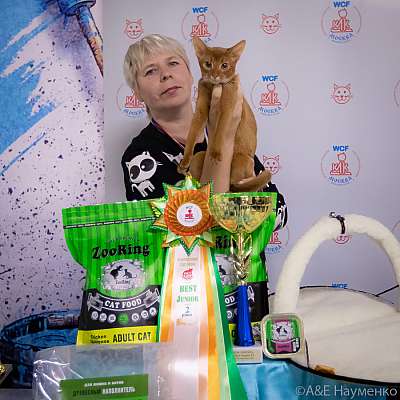 ������� 18-19.09.2021 ���������� 8-58-0500.jpg