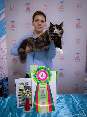 �������� ����� 18-19.09.2021 ���������� 5-37-0187.jpg