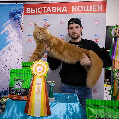 �������� ����� 18-19 �������� 2021 �., ������������ � ������ ���.