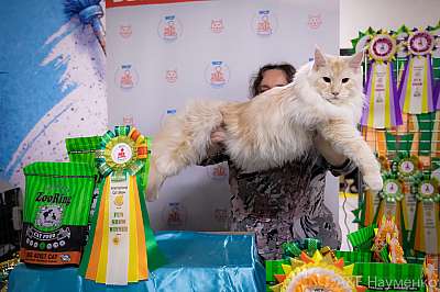 �������� ����� 18-19.09.2021 ���������� 6-9-0423.jpg