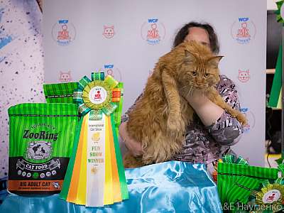 �������� ����� 18-19.09.2021 ���������� 9-3-0435.jpg