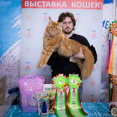 �������� ����� 18-19 �������� 2021 �., ������������ � ������ ���.