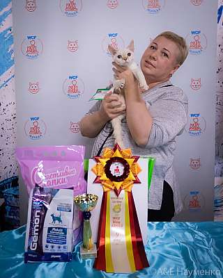 �������� ����� 18-19.09.2021 ���������� 9-90-0050.jpg