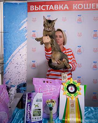 �������� ����� 18-19.09.2021 ���������� 6-86-0153.jpg