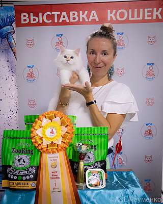 �������� ����� 18-19 �������� 2021 �. WCF-�����