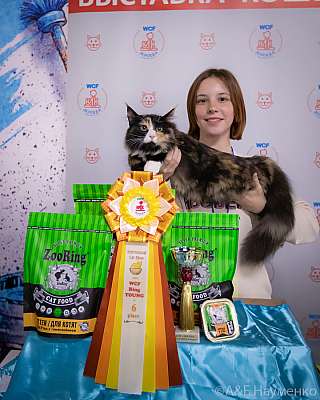 �������� ����� 18-19.09.2021 ���������� 6-37-0308.jpg