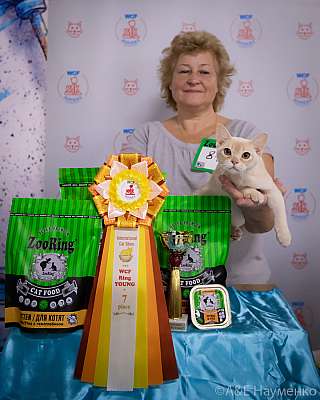 �������� ����� 18-19.09.2021 ���������� 7-81-0305.jpg