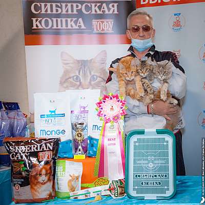 �������� ����� 23-24.10.2021 ���������� 16-1-20211023_2278.jpg