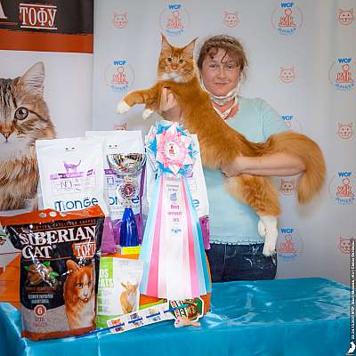 �������� ����� 23-24.10.2021 ���������� 5-157-20211023_2394.jpg