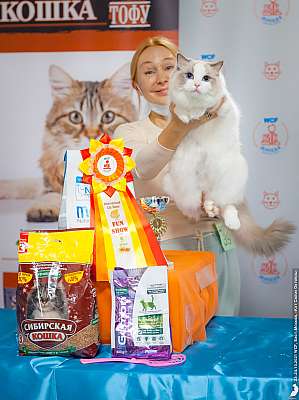 �������� ����� 23-24.10.2021 ���������� 5-39-20211023_2100.jpg