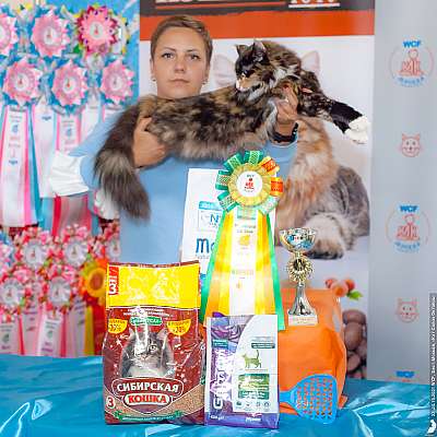 �������� ����� 23-24 ������� 2021 �., ������������ � ������ ���.