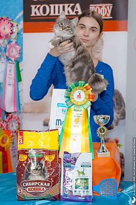 �������� ����� 23-24.10.2021 ���������� 3-26-20211023_2233.jpg