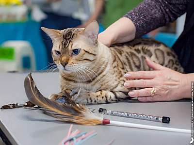 �������� ����� 23-24.10.2021 ���������� 4-67--20211024_2893.jpg