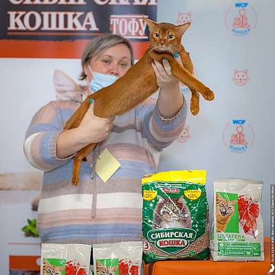 �������� ����� 23-24.10.2021 ���������� 7-62-20211024_2972.jpg