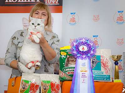 �������� ����� 23-24 ������� 2021 �. WCF-�����