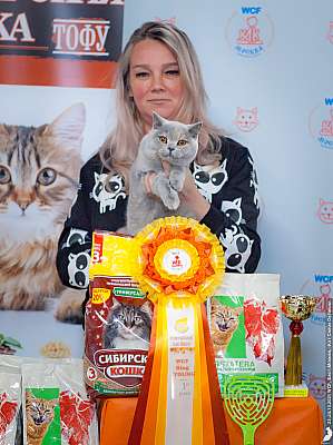 �������� ����� 23-24 ������� 2021 �. WCF-�����