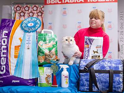 �������� ����� 25-26.12.2021 ���������� 1-73-IMG_4814.jpg