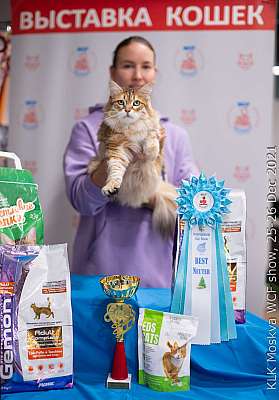 �������� ����� 25-26.12.2021 ���������� 13-42-IMG_4663.jpg