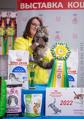 �������� ����� 25-26.12.2021 ���������� 11-37-IMG_5445.jpg