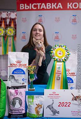 �������� ����� 25-26.12.2021 ���������� 12-45-IMG_5458.jpg