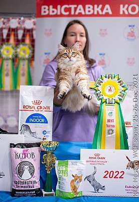 �������� ����� 25-26.12.2021 ���������� 13-42-IMG_5426.jpg