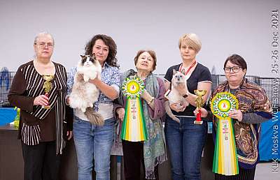 �������� ����� 25-26.12.2021 ���������� 14-IMG_5584.jpg