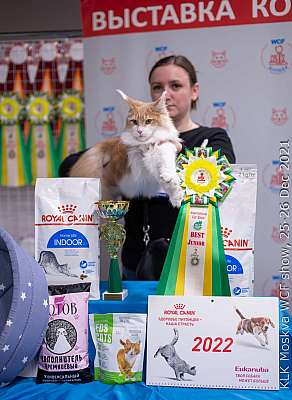 �������� ����� 25-26.12.2021 ���������� 6-5-IMG_5510.jpg