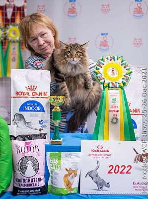 �������� ����� 25-26.12.2021 ���������� 7-22-IMG_5482.jpg