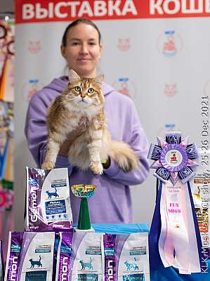 �������� ����� 25-26.12.2021 ���������� 1-42-IMG_4606.jpg