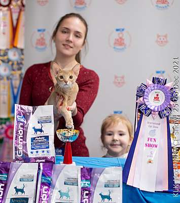 �������� ����� 25-26.12.2021 ���������� 5-45-IMG_4629.jpg