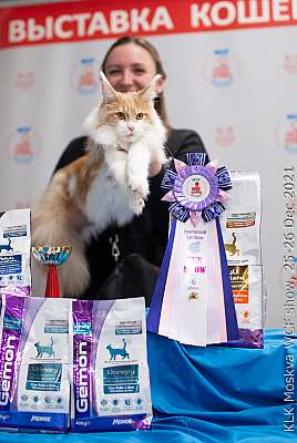 �������� ����� 25-26.12.2021 ���������� 6-5-IMG_4615.jpg