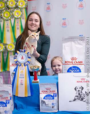 �������� ����� 25-26.12.2021 ���������� 10-62-IMG_5239.jpg