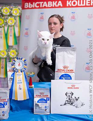 �������� ����� 25-26.12.2021 ���������� 4-21-IMG_5206.jpg