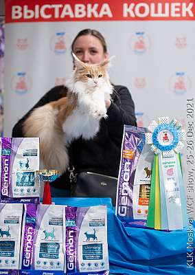 �������� ����� 25-26.12.2021 ���������� 5-5-IMG_4509.jpg