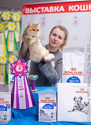 �������� ����� 25-26.12.2021 ���������� 2-79-IMG_5363.jpg