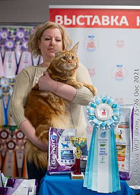 �������� ����� 25-26.12.2021 ���������� 1-4-IMG_4231.jpg